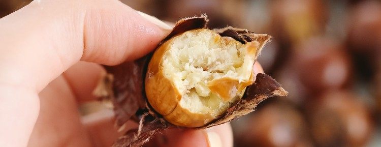 糖烤栗子
