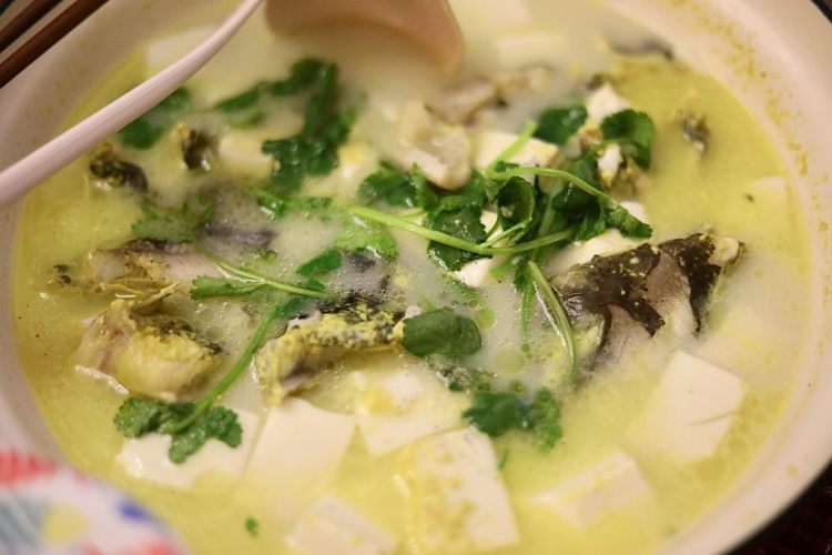 昂刺鱼豆腐汤
